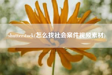 shutterstock(怎么找社会案件视频素材)