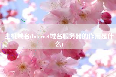 主机域名(Internet域名服务器的作用是什么)