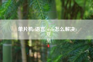 单片机c语言(style怎么解决)
