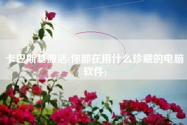 卡巴斯基激活(你都在用什么珍藏的电脑软件)
