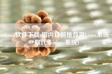 linux软件下载(国内目前推荐用Linux系统取代Windows系统)