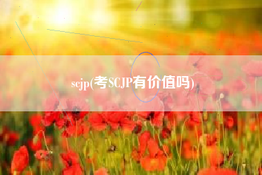 scjp(考SCJP有价值吗)