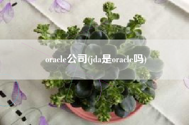 oracle公司(jda是oracle吗)
