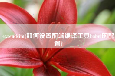 extendsim(如何设置前端编译工具babel的配置)