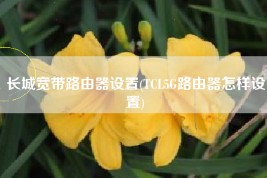 长城宽带路由器设置(TCL5G路由器怎样设置)