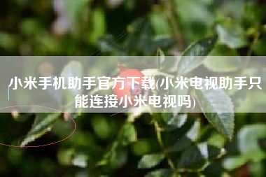 小米手机助手官方下载(小米电视助手只能连接小米电视吗)