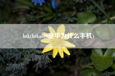 htk(htkal00是华为什么手机)