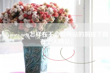 sexinsex.net(怎样在不会做网站的前提下拥有个人网站)