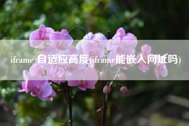 iframe 自适应高度(iframe能嵌入网址吗)