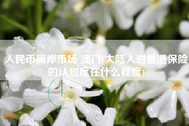 人民币离岸市场 澳门(大陆人对香港保险的认知度在什么程度)