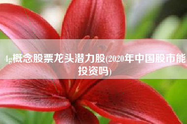 4g概念股票龙头潜力股(2020年中国股市能投资吗)