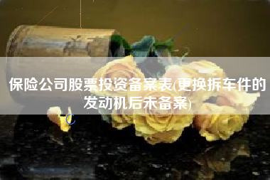 保险公司股票投资备案表(更换拆车件的发动机后未备案)