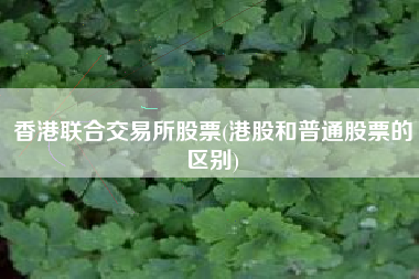 香港联合交易所股票(港股和普通股票的区别)