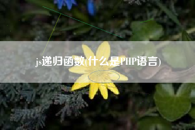 js递归函数(什么是PHP语言)