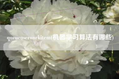 queueuserworkitem(机器学习算法有哪些)