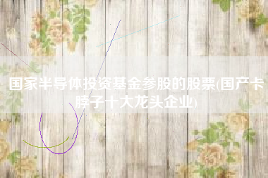 国家半导体投资基金参股的股票(国产卡脖子十大龙头企业)