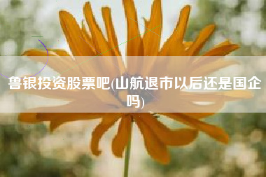 鲁银投资股票吧(山航退市以后还是国企吗)