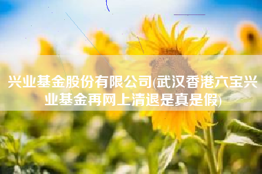 兴业基金股份有限公司(武汉香港六宝兴业基金再网上清退是真是假)