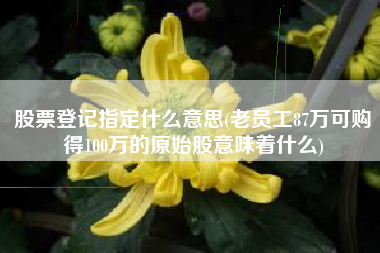 股票登记指定什么意思(老员工87万可购得100万的原始股意味着什么)