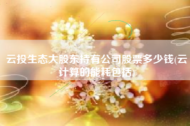 云投生态大股东持有公司股票多少钱(云计算的能耗包括)