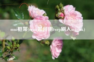 mui框架(miui如何用twrp刷入magisk)
