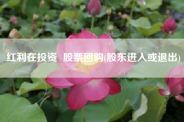 红利在投资  股票回购(股东进入或退出)