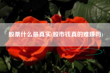 股票什么最真实(股市钱真的难赚吗)