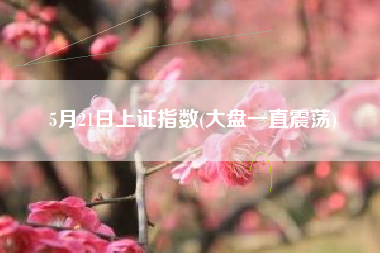 5月21日上证指数(大盘一直震荡)