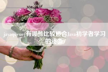 javaqueue(有哪些比较适合Java初学者学习的资源)