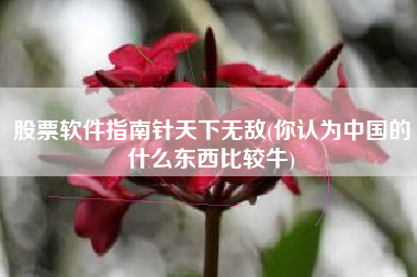 股票软件指南针天下无敌(你认为中国的什么东西比较牛)