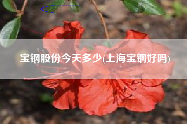 宝钢股份今天多少(上海宝钢好吗)