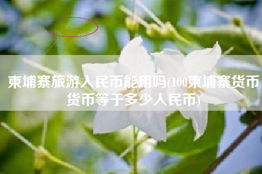 柬埔寨旅游人民币能用吗(100柬埔寨货币货币等于多少人民币)