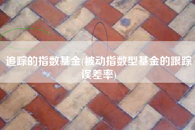 追踪的指数基金(被动指数型基金的跟踪误差率)