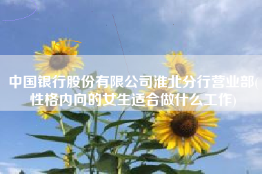 中国银行股份有限公司淮北分行营业部(性格内向的女生适合做什么工作)