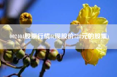002404股票行情6(现股价728元的股票)