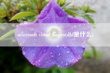 microsoft visual foxpro(dbf是什么)