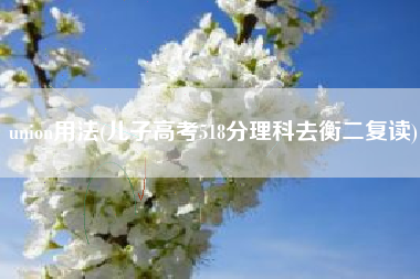 union用法(儿子高考518分理科去衡二复读)