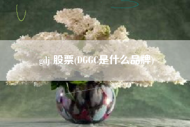 gdj 股票(DGGC是什么品牌)