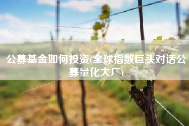 公募基金如何投资(全球指数巨头对话公募量化大厂)