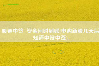股票中签  资金何时到账(申购新股几天后知道中没中签)