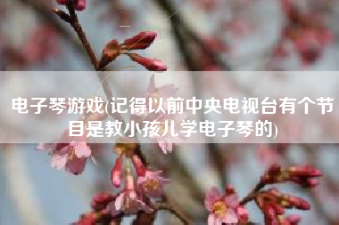 电子琴游戏(记得以前中央电视台有个节目是教小孩儿学电子琴的)