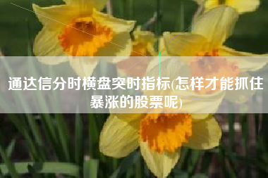 通达信分时横盘突时指标(怎样才能抓住暴涨的股票呢)