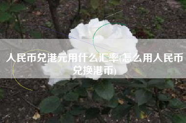 人民币兑港元用什么汇率(怎么用人民币兑换港币)