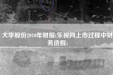 大华股份2010年财报(乐视网上市过程中财务造假)