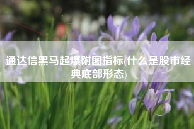通达信黑马起爆附图指标(什么是股市经典底部形态)