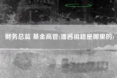财务总监 基金高管(潘茜祖籍是哪里的)