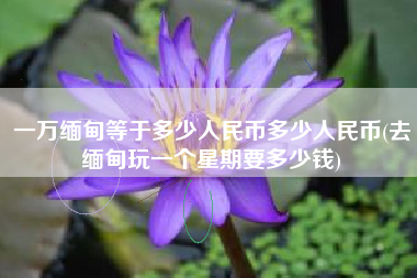 一万缅甸等于多少人民币多少人民币(去缅甸玩一个星期要多少钱)