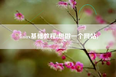 linux基础教程(想做一个网站)