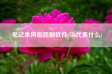 笔记本风扇控制软件(fan代表什么)