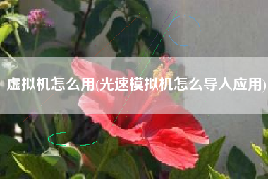 虚拟机怎么用(光速模拟机怎么导入应用)
